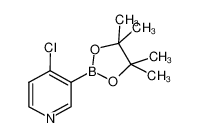 4-氯吡啶-3-硼酸频哪醇酯