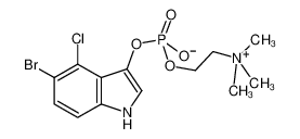 5-溴-4-氯-3-吲哚胆碱磷酸