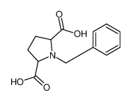 1-苄基吡咯烷-2,5-二甲酸