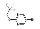 5-溴-2-(2，2，2-三氟乙氧基)嘧啶