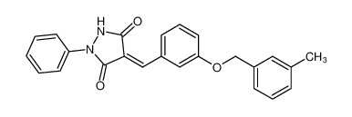 Y16