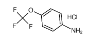 4-(三氟甲氧基)苯胺盐酸盐