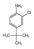 4-叔丁基-2-氯苯胺