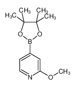 2-甲氧基吡啶-4-戊酰硼酸