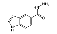 1H-吲哚-5-酰肼