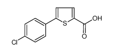 5-(4-氯苯基)噻吩-2-羧酸