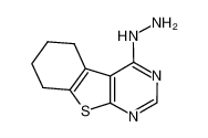 4-肼基-5,6,7,8-四氢苯并[4,5]噻吩并[2,3-d]嘧啶