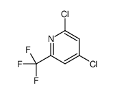 2,4-二氯-6-(三氟甲基)吡啶