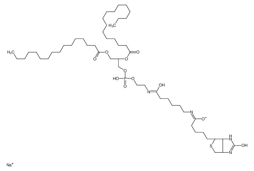 1,2-二棕榈酰基-sn-甘油-3-磷酸乙醇胺-N-(帽生物素)(钠盐)