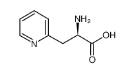 D-3-(2-吡啶基)-丙氨酸