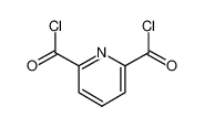2,6-吡啶二羰酰氯