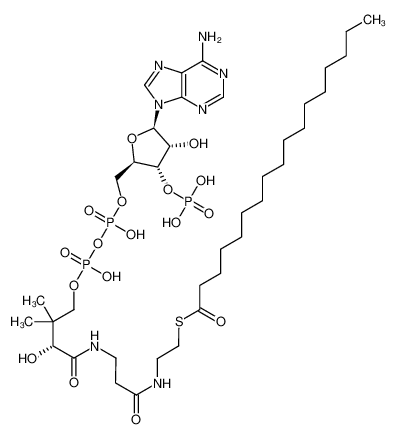 Heptadecanoyl Coenzyme A