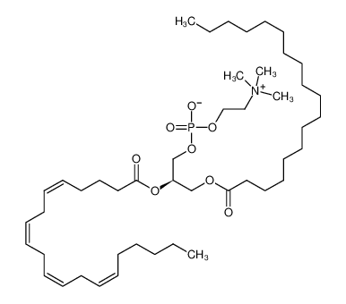 L-α-磷脂酰胆碱-β-花生四烯酰-γ-硬脂酰溶液