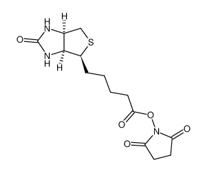 (+)生物素-N-琥珀酰亚胺基酯