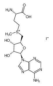 S-(5′-腺苷)-L-甲硫氨酸碘盐