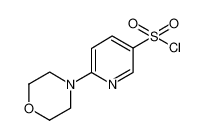 6-吗啉吡啶-3-磺酰氯