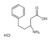 (S)-3-氨基-5-苯基戊酸盐酸盐
