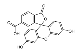 6-羧基荧光素
