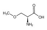 (S)-2-氨基-3-甲氧基丙酸