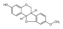美迪紫檀素