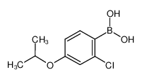 2-氯-4-异丙基氧基苯硼酸
