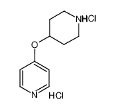 4-(哌啶-4-基氧)吡啶二盐酸盐