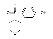 4-(吗啉磺酰基)苯酚