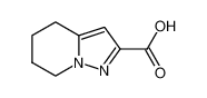 吡唑[1,5-A] 4,5,6,7-四氢吡啶-2-羧酸