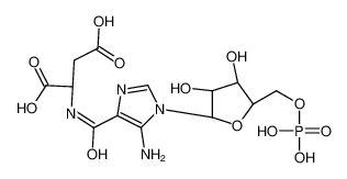 SAICAR (Succino-AICAR)