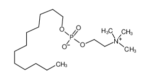 FOS-维生素B-12