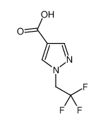 1-(2,2,2-三氟乙基)-1H-吡唑-4-羧酸