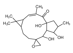 环氧续随子醇