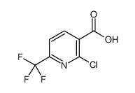 2-氯-6-(三氟甲基)烟酸