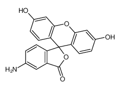 5(6)-氨基荧光素