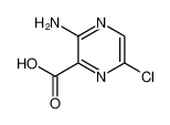 3-氨基-6-氯吡嗪-2-甲酸
