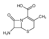 7-氨基去乙酰氧基头孢烷酸