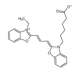 Cy2