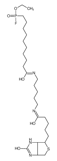 FP-Biotin