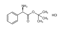 (R)-2-氨基-2-苯基乙酸叔丁酯盐酸盐