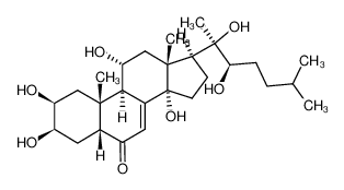 筋骨草甾酮 C