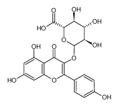 山柰酚-3-O-β-D-葡萄糖醛酸苷