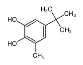 5-(叔丁基)-3-甲基苯-1，2-二醇