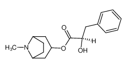 (R)-Endo-8-甲基-8-氮杂双环[3.2.1]辛烷-3-基-2-羟基-3-苯丙酸酯