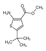 2-氨基-5-叔丁基噻吩-3-羧酸甲酯