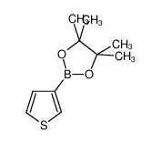 噻吩-3-硼酸频哪醇酯
