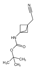 (3-(氰基甲基)双环[1.1.1]戊-1-基)氨基甲酸叔丁酯