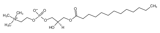 1-tridecanoyl-2-hydroxy-sn-glycero-3-phosphocholine