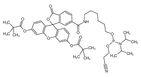 5'-荧光素亚磷酰胺