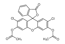2′7′-二氯荧光素二乙酸盐