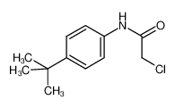 N-(4-(叔丁基)苯基)-2-氯乙酰胺